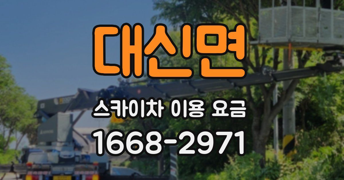 대신면 스카이차 이용 요금