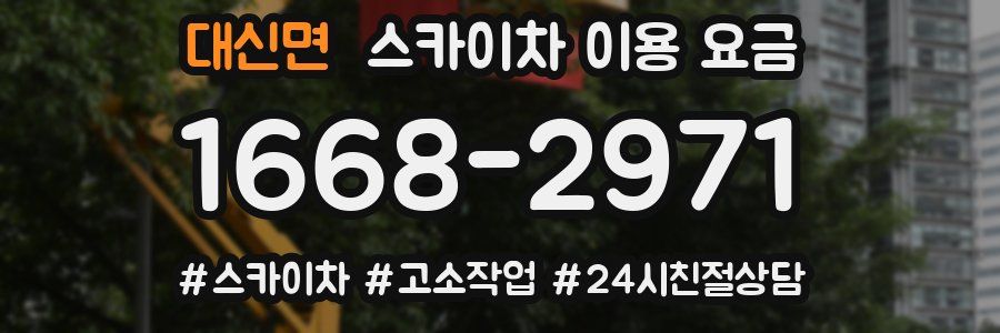 대신면 스카이차 이용 요금