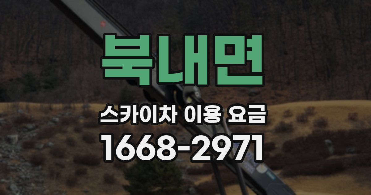 북내면 스카이차 이용 요금