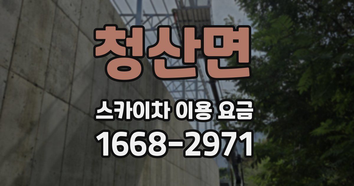 청산면 스카이차 이용 요금