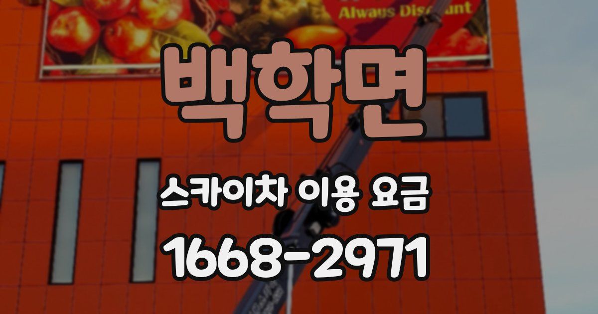백학면 스카이차 이용 요금