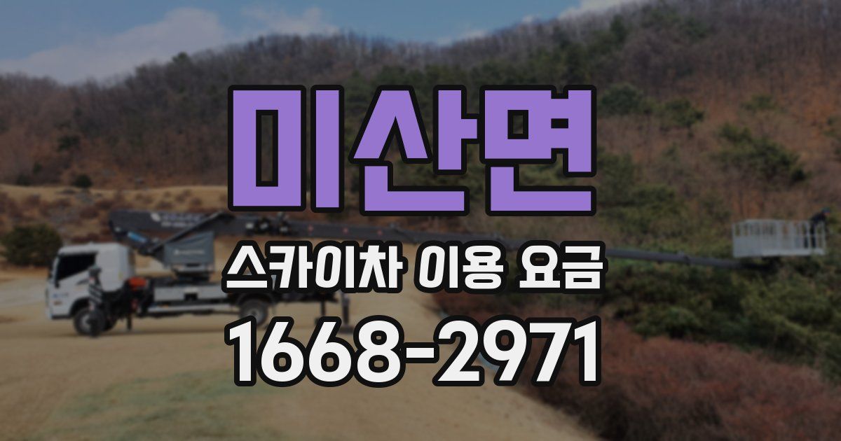 미산면 스카이차 이용 요금