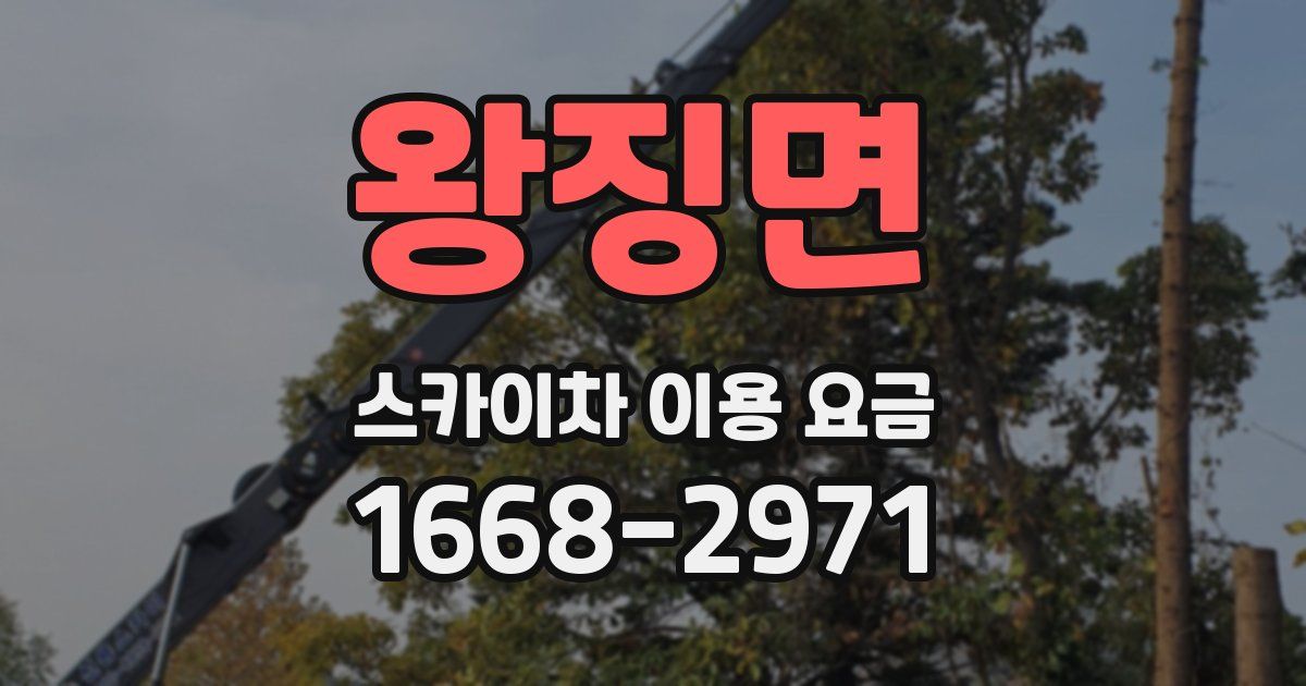 왕징면 스카이차 이용 요금