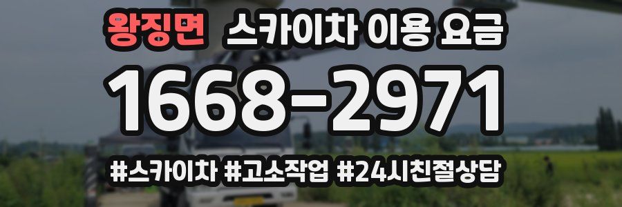 왕징면 스카이차 이용 요금