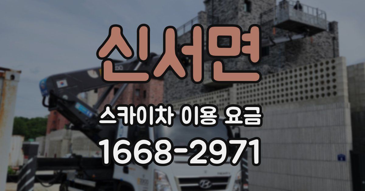 신서면 스카이차 이용 요금