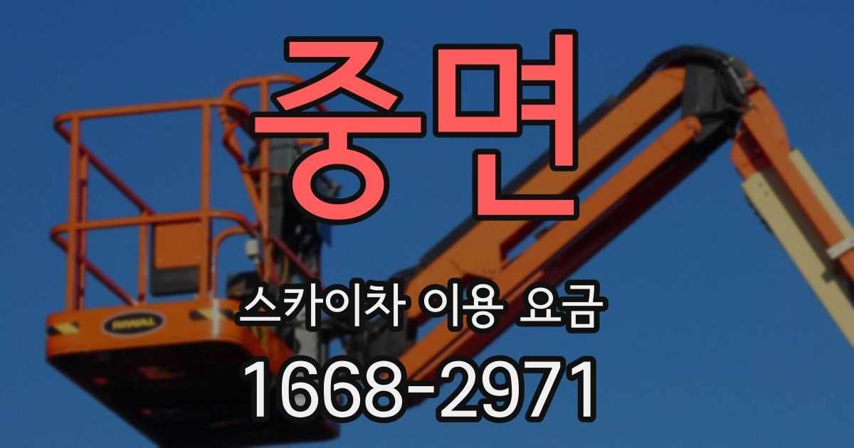중면 스카이차 이용 요금
