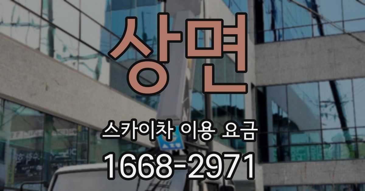 상면 스카이차 이용 요금