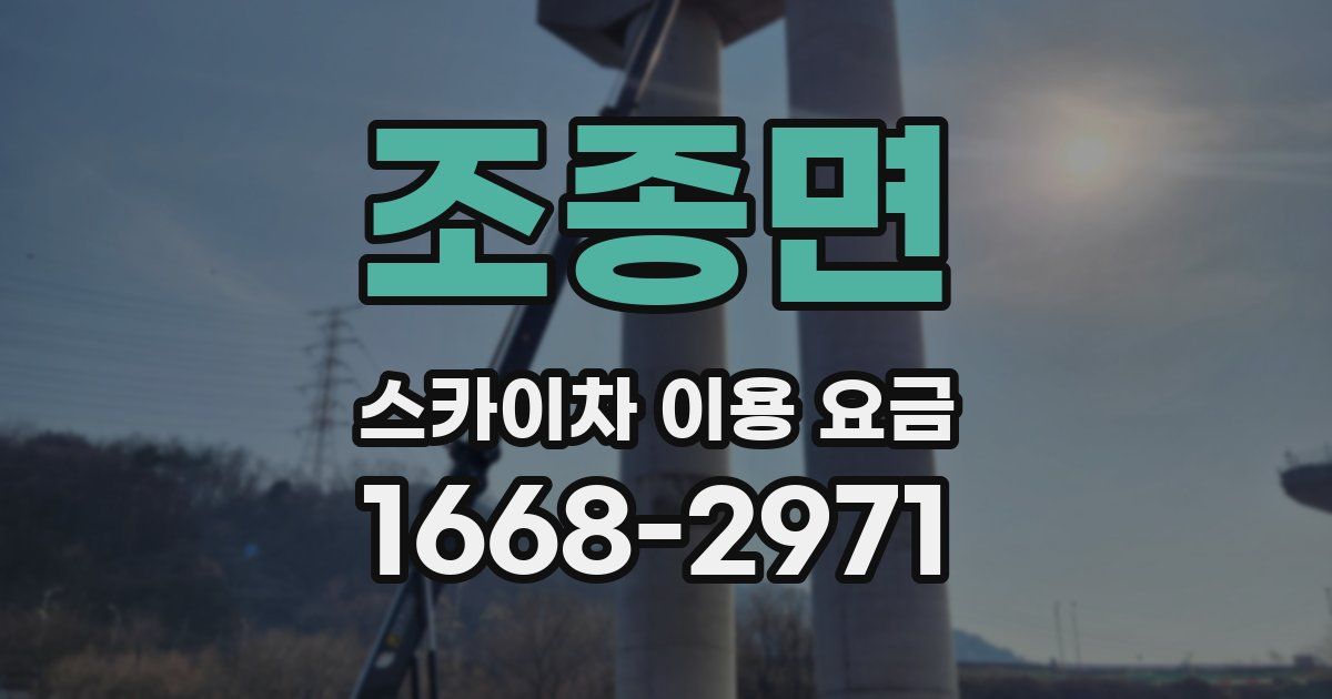 조종면 스카이차 이용 요금