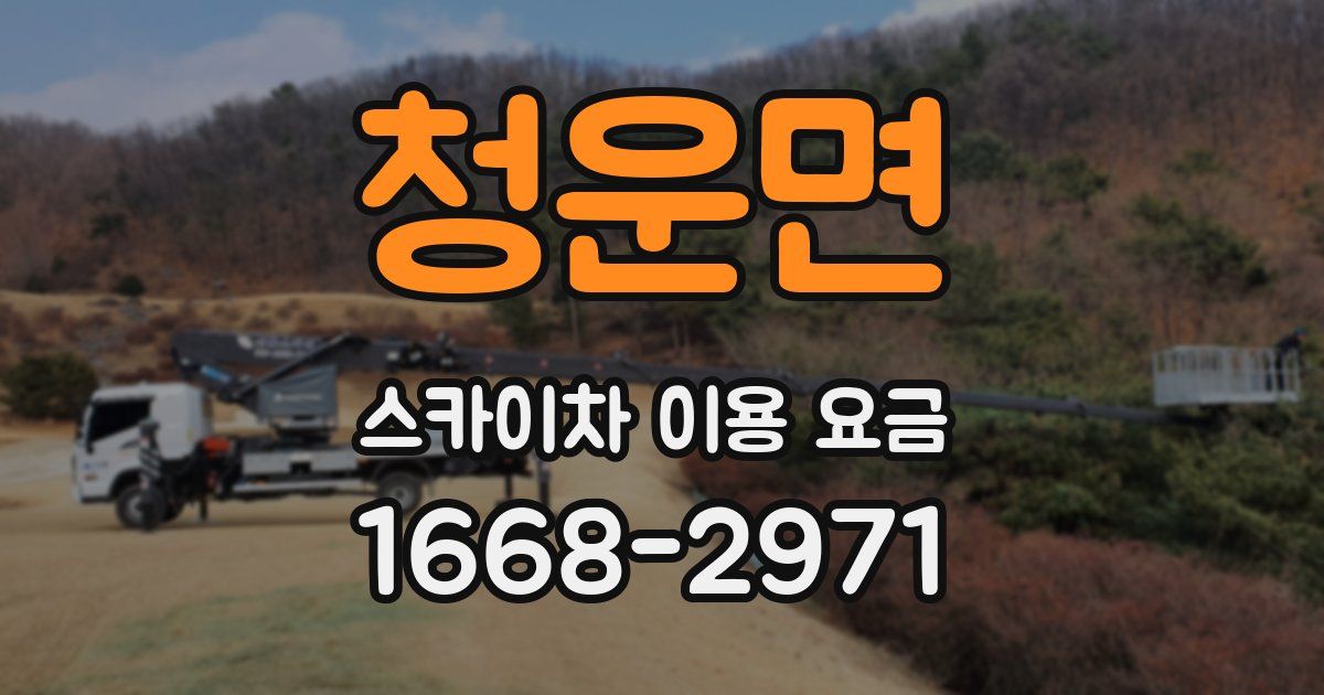 청운면 스카이차 이용 요금