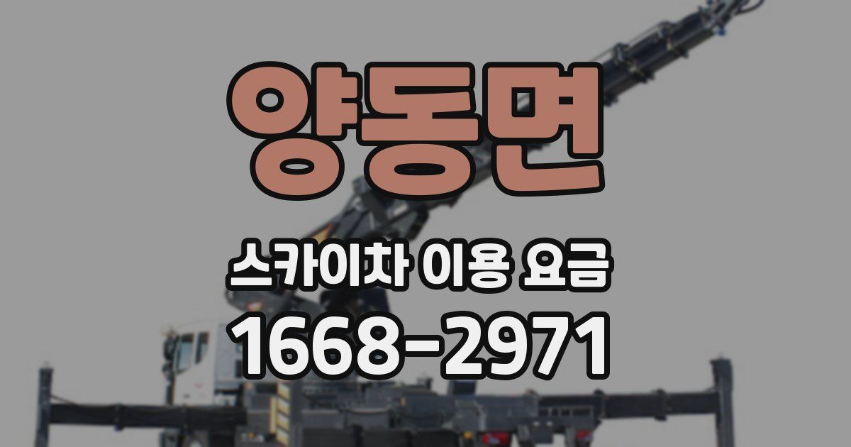 양동면 스카이차 이용 요금