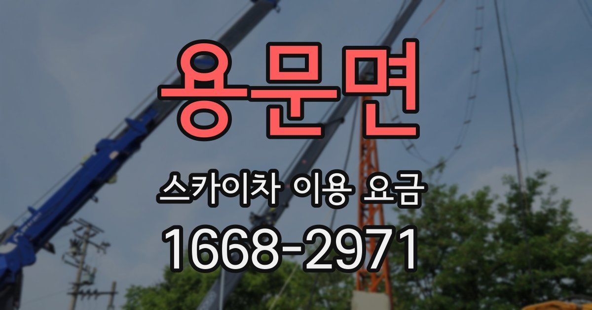 용문면 스카이차 이용 요금