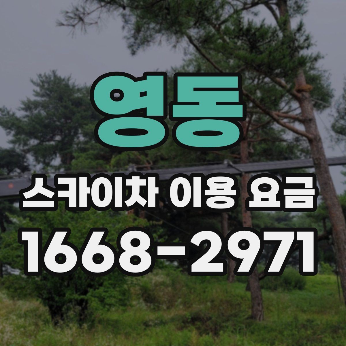 영동 스카이차 이용 요금 비교를 위한 현실적인 기준