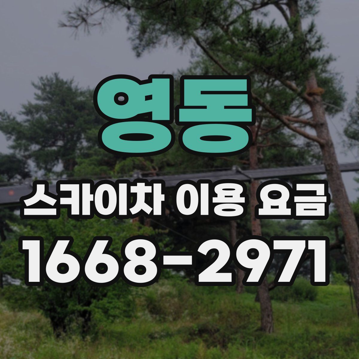 영동 스카이차 이용 요금
