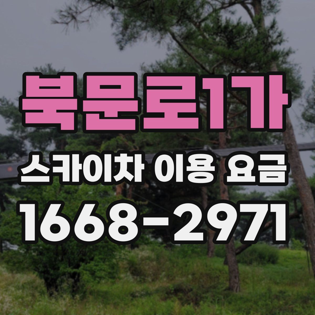 북문로1가 스카이차 이용 요금