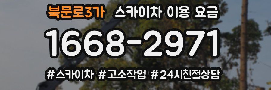 북문로3가 스카이차 이용 요금