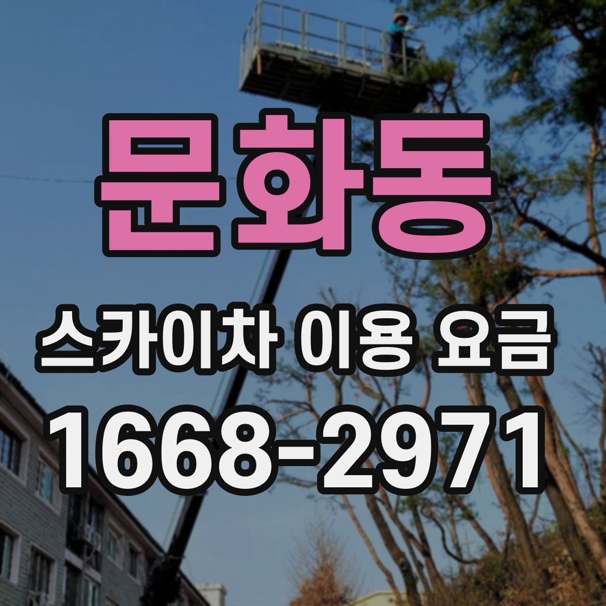 문화동 스카이차 이용 요금