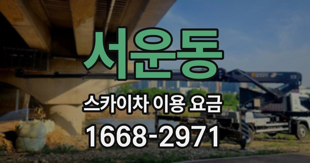 서운동 스카이차 이용 요금