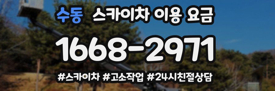 수동 스카이차 이용 요금