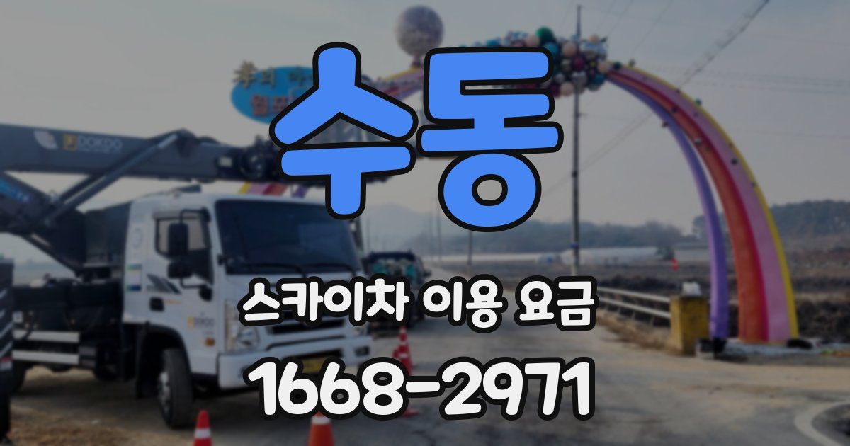 수동 스카이차 이용 요금