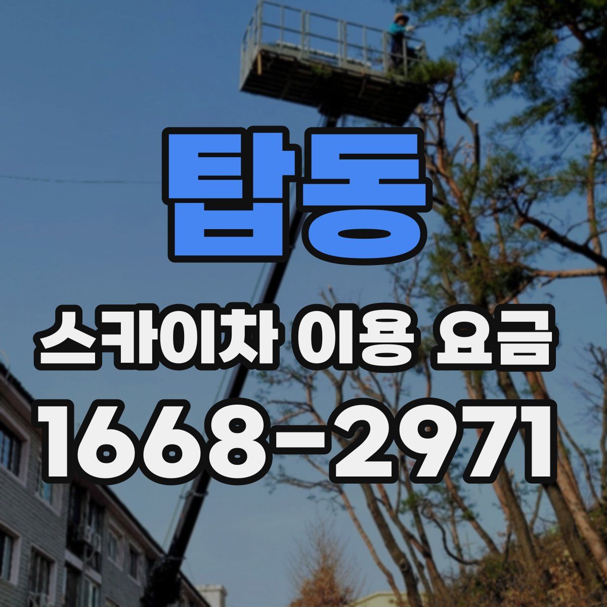 탑동 스카이차 이용 요금
