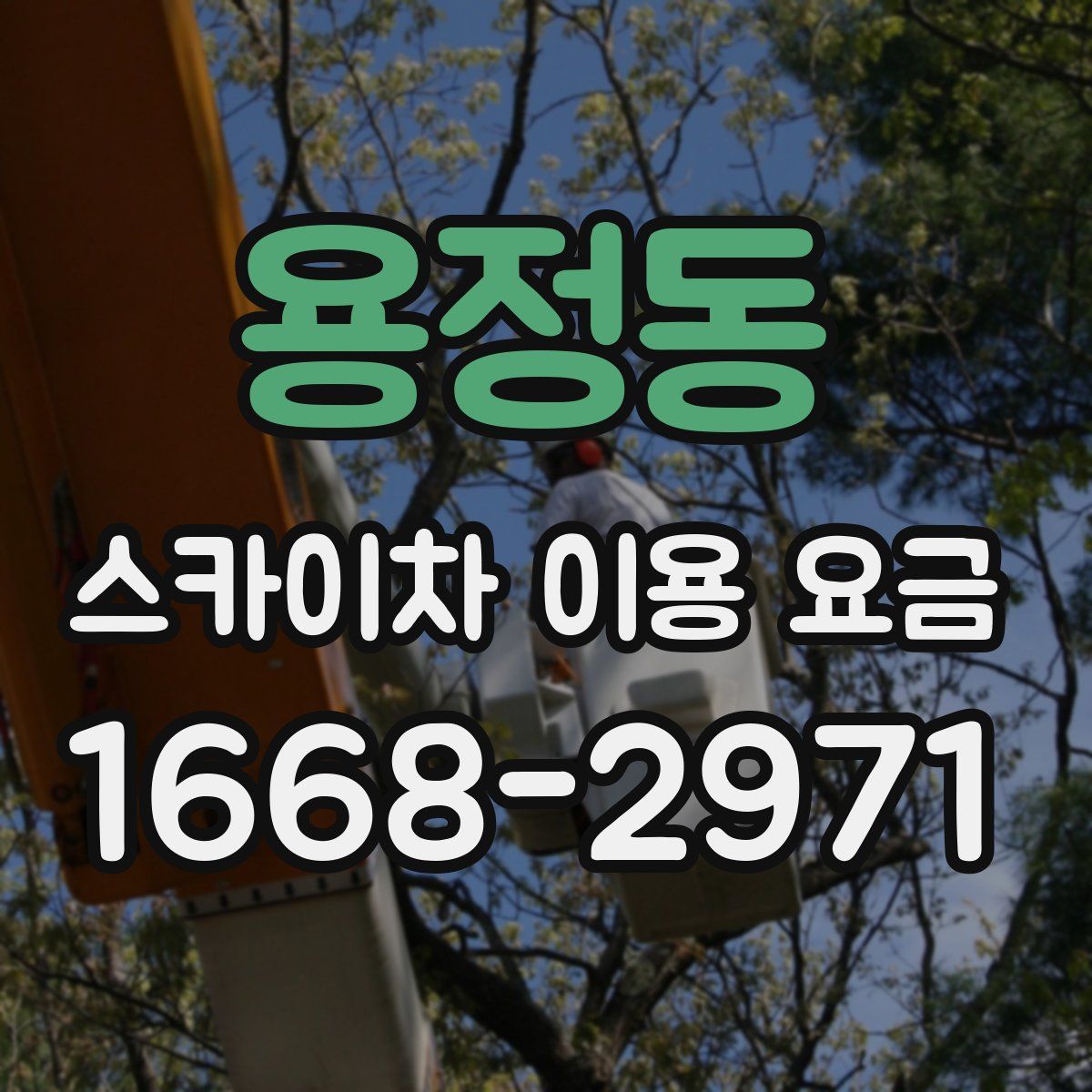용정동 스카이차 이용 요금