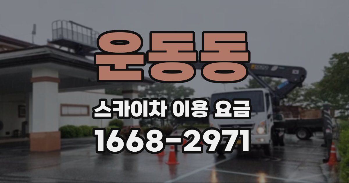 운동동 스카이차 이용 요금