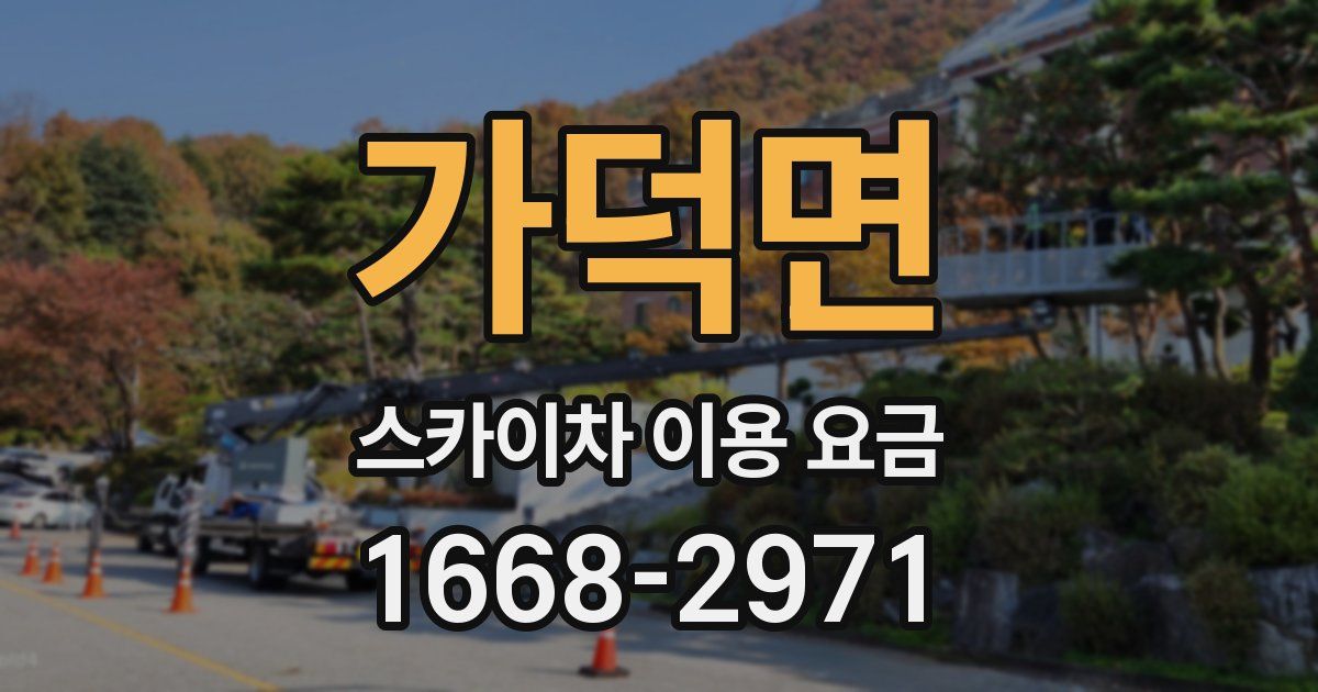 가덕면 스카이차 이용 요금