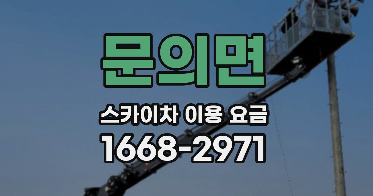 문의면 스카이차 이용 요금