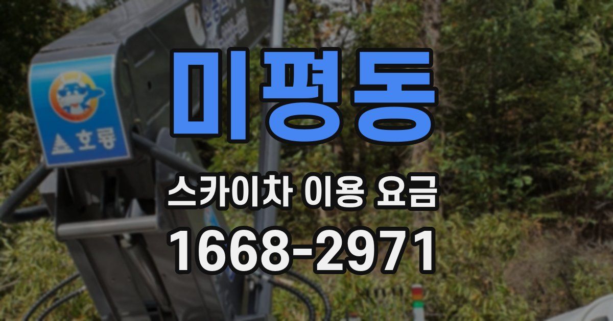 미평동 스카이차 이용 요금