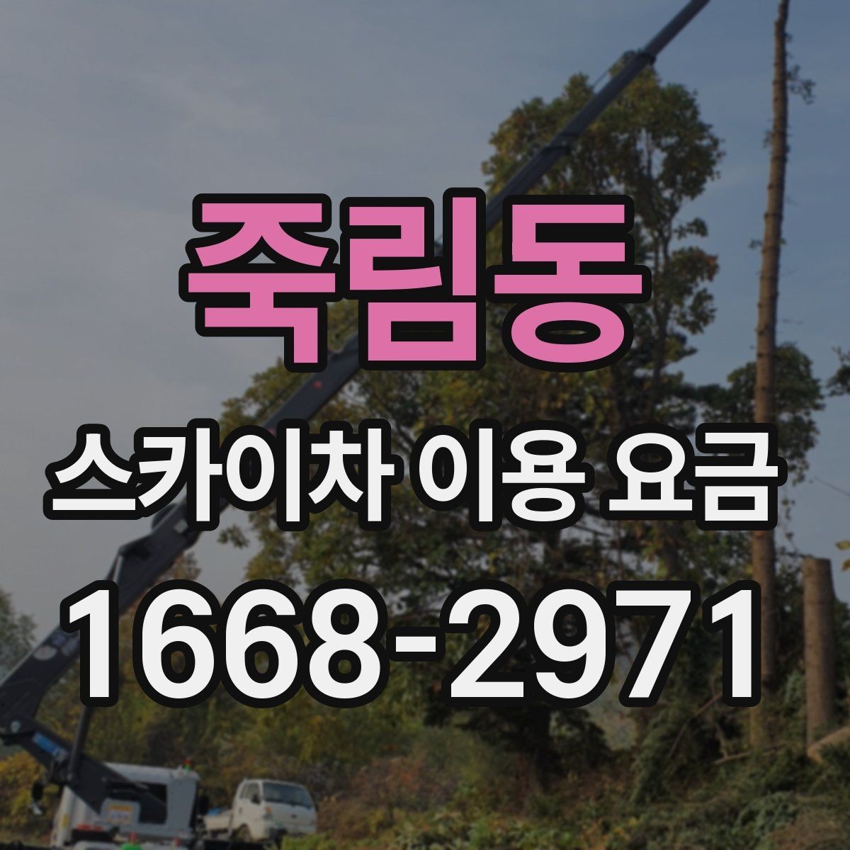 죽림동 스카이차 이용 요금 알아볼 때 업체마다 다른 점