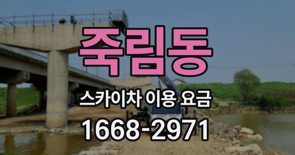 죽림동 스카이차 이용 요금