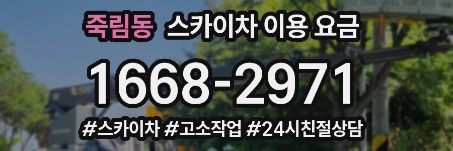 죽림동 스카이차 이용 요금