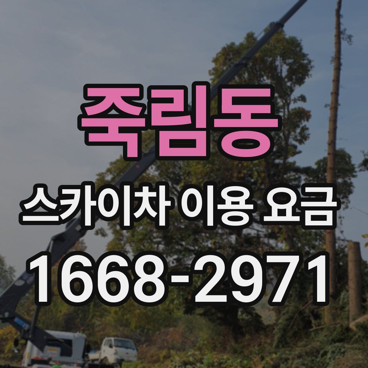 죽림동 스카이차 이용 요금