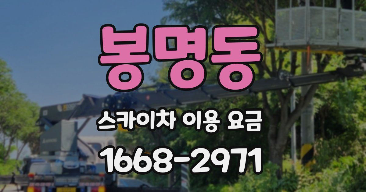 봉명동 스카이차 이용 요금