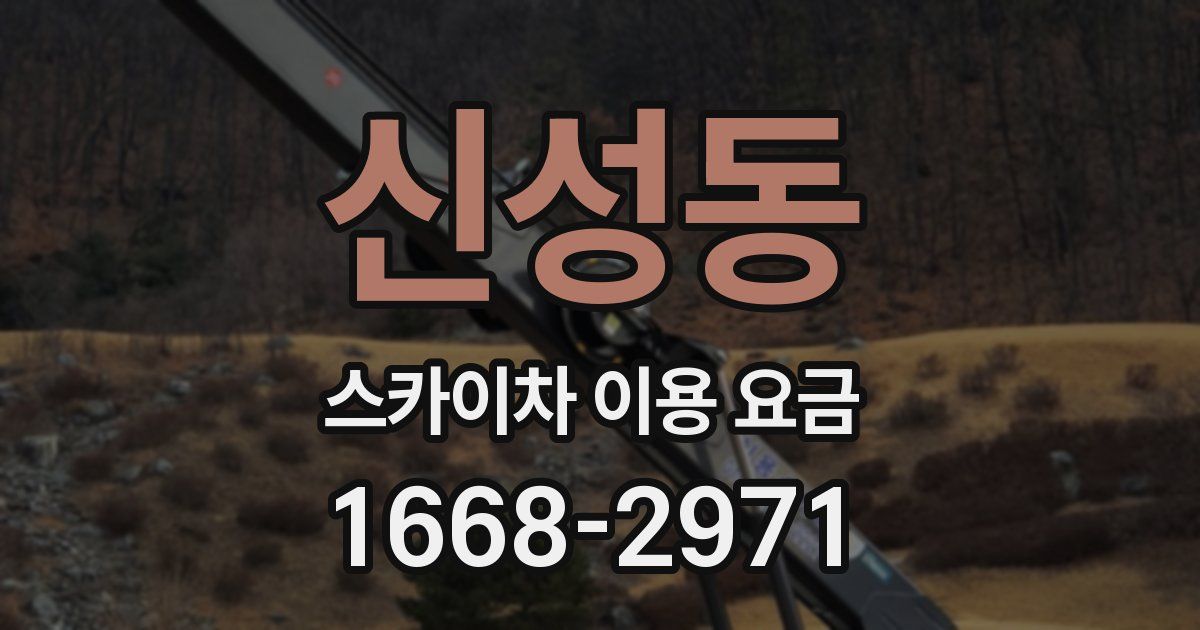 신성동 스카이차 이용 요금