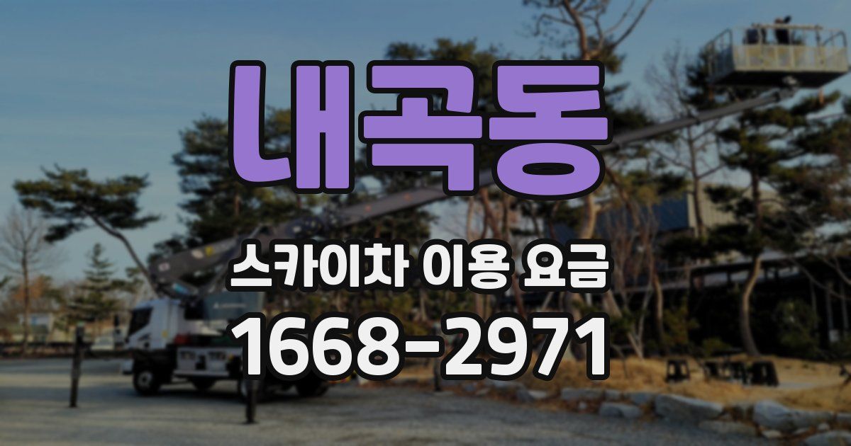 내곡동 스카이차 이용 요금