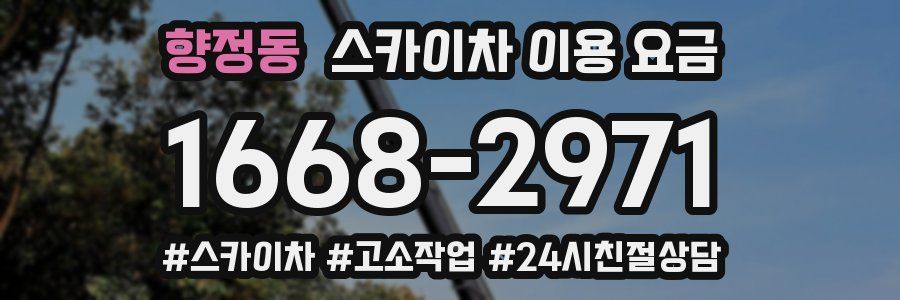 향정동 스카이차 이용 요금