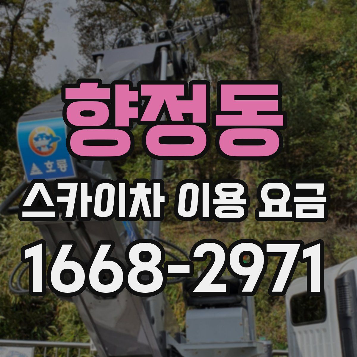 향정동 스카이차 이용 요금