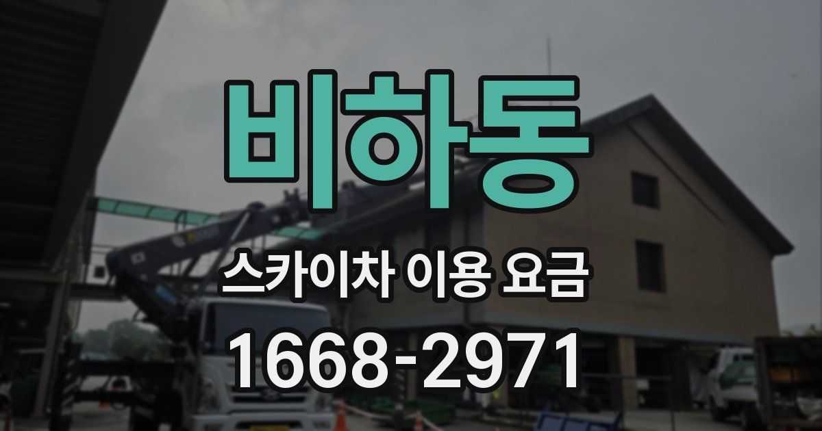 비하동 스카이차 이용 요금