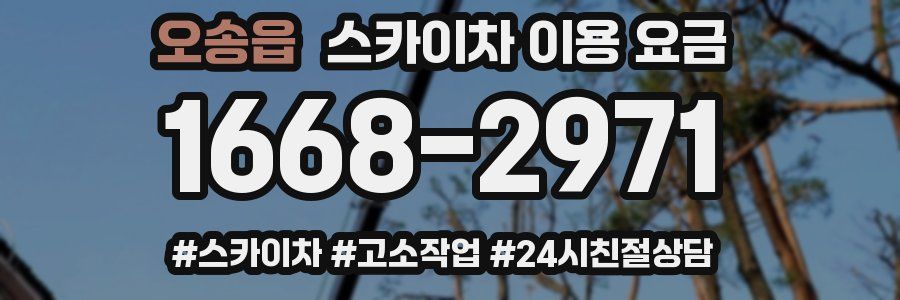 오송읍 스카이차 이용 요금