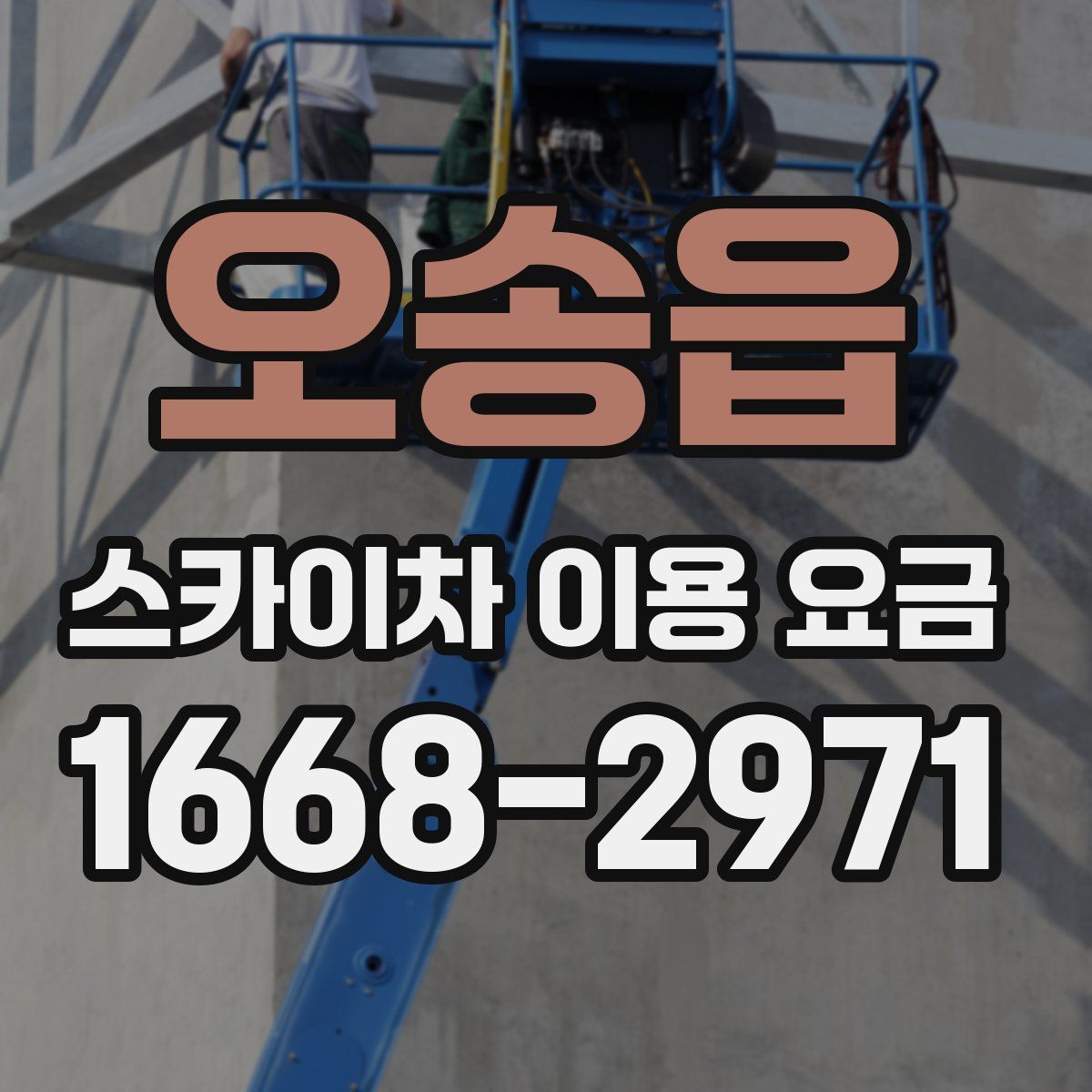 오송읍 스카이차 이용 요금