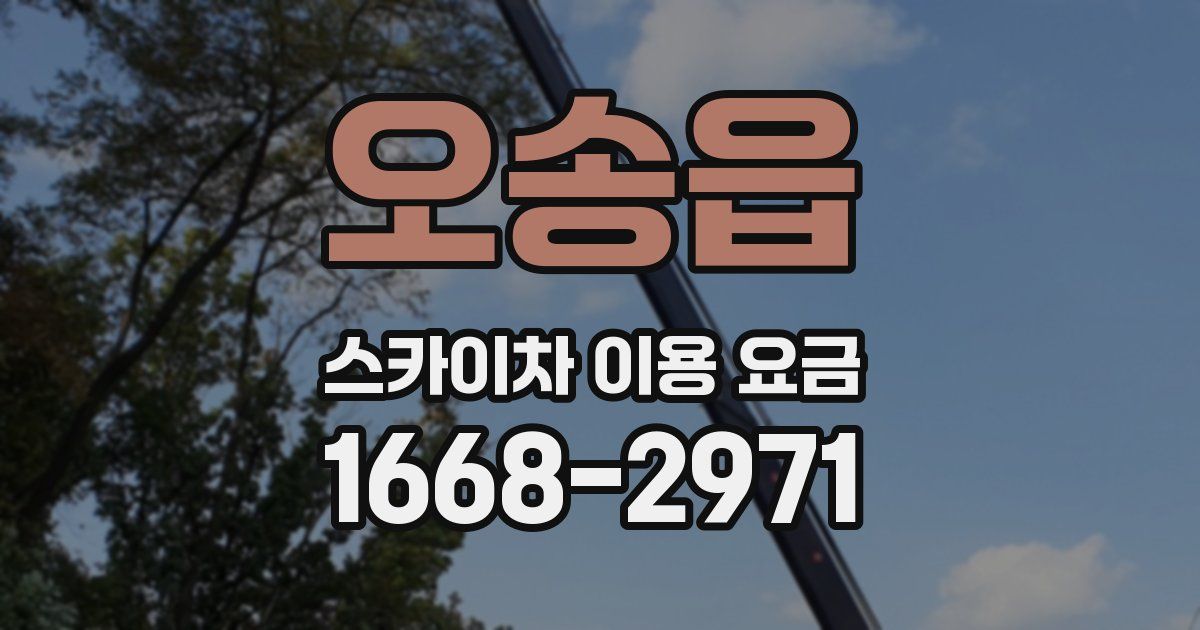 오송읍 스카이차 이용 요금