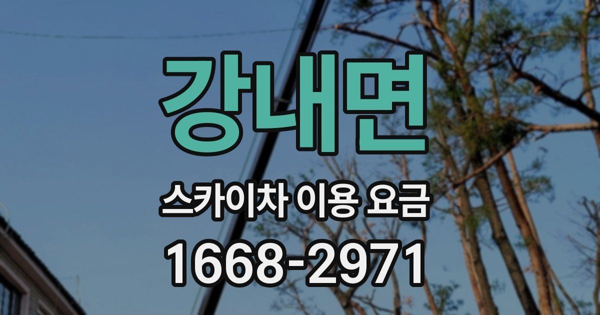 강내면 스카이차 이용 요금