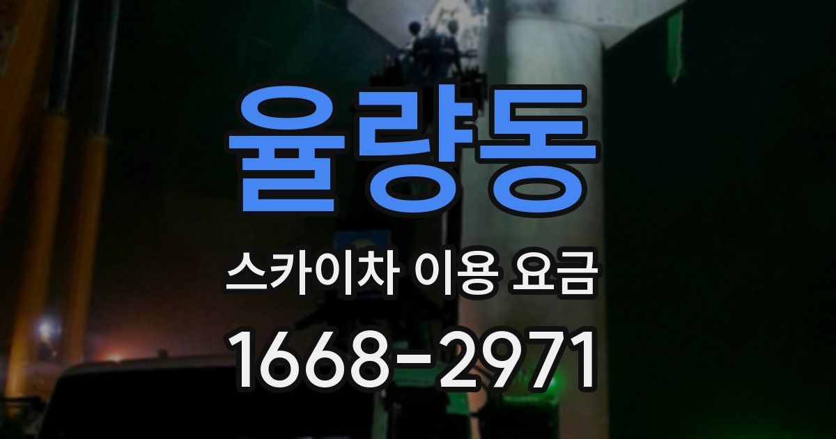 율량동 스카이차 이용 요금
