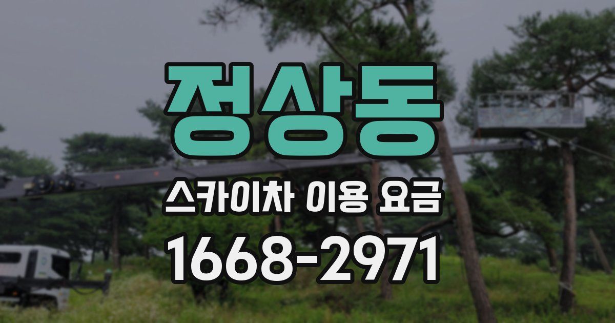 정상동 스카이차 이용 요금