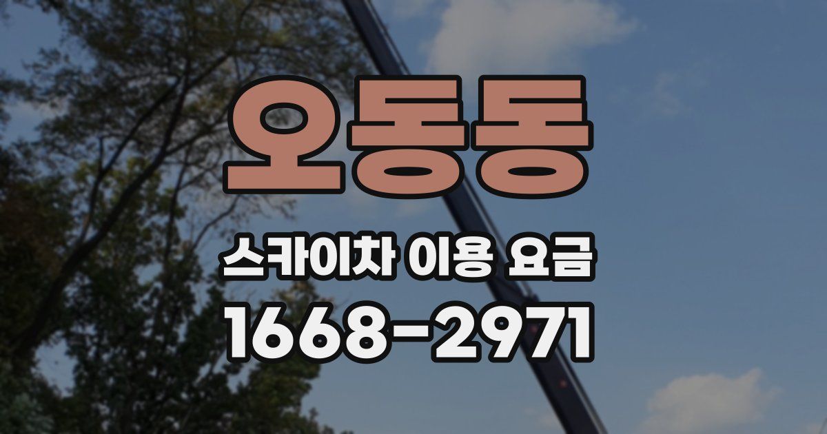 오동동 스카이차 이용 요금