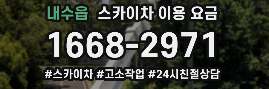 내수읍 스카이차 이용 요금