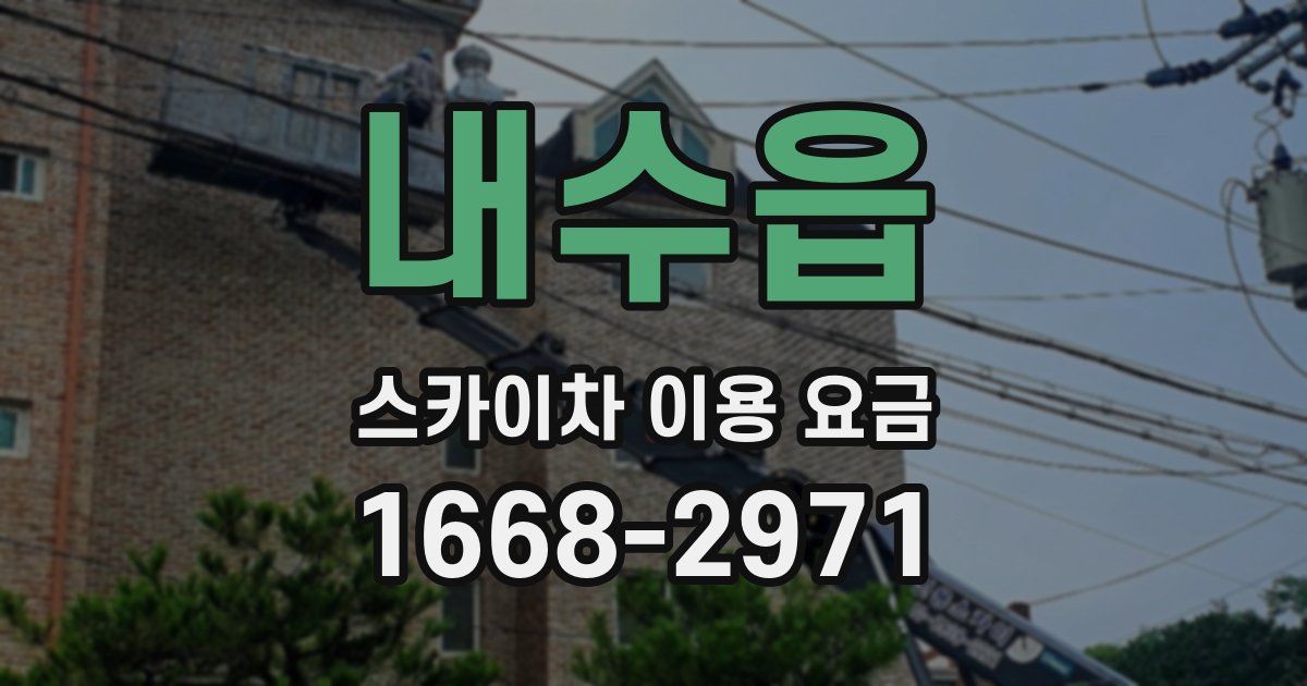 내수읍 스카이차 이용 요금