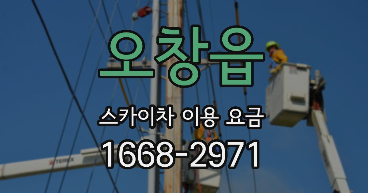 오창읍 스카이차 이용 요금