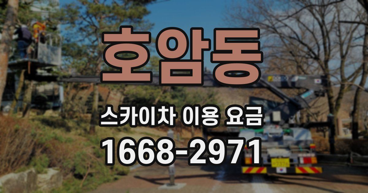 호암동 스카이차 이용 요금